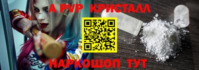 шишки Будённовск