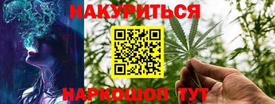 шишки Будённовск