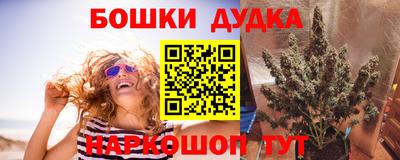 шишки Будённовск