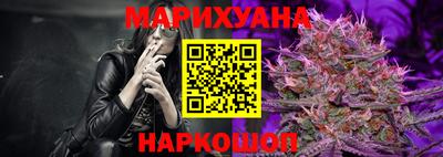 шишки Будённовск