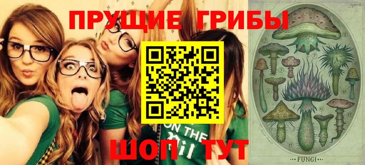Псилоцибиновые грибы MAGIC MUSHROOMS  Псилоцибиновые грибы Magic Shrooms  Вход с VPN  Людиново 