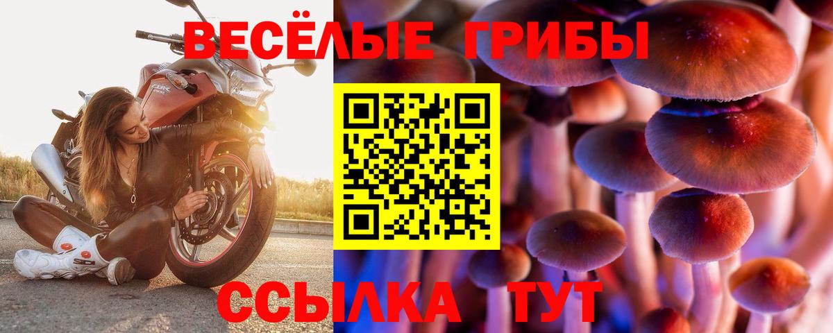Галлюциногенные грибы GOLDEN TEACHER Людиново