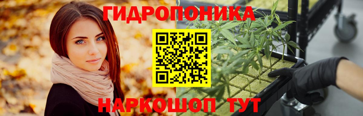 Бошки Шишки White Widow  Вход с VPN  Конопля THC 21%  Марихуана конопля  Людиново 